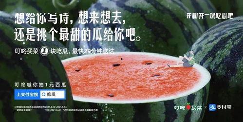 娱乐圈的吃瓜文案